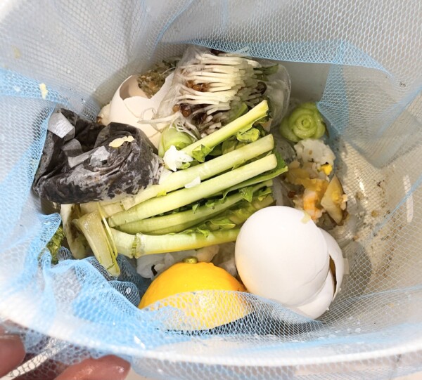パリパリキューブ　生ゴミ減量乾燥機　コバエ　小バエ　におい　ゴミ出し　重い